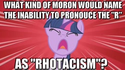 Size: 1280x720 | Tagged: safe, edit, edited screencap, screencap, twilight sparkle, caption, image macro, meme, obligatory pony, pedantbait, solo, vulgar