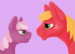 Size: 639x458 | Tagged: safe, artist:believeinshadows, big macintosh, cheerilee, earth pony, pony, cheeribetes, cheerimac, cute, female, macabetes, male, mare, shipping, stallion, straight