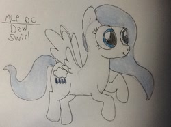 Size: 807x599 | Tagged: safe, artist:wolfspiritclan, oc, oc only, oc:dew swirl, solo, traditional art