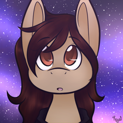 Size: 1000x1000 | Tagged: safe, artist:animeangel120, oc, oc only, pony, bust, female, mare, night, night sky, portrait, solo