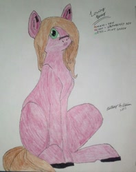 Size: 796x1004 | Tagged: safe, artist:hammiam, oc, oc only, oc:loving berry, earth pony, pony, blonde, blonde mane, blonde tail, green eyes, hand drawing, reference sheet, solo, traditional art