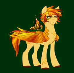 Size: 800x785 | Tagged: safe, artist:raindroplette, oc, oc only, pony, male, phoenix pony, simple background, solo, stallion