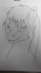 Size: 2592x4608 | Tagged: safe, artist:prius, oc, oc only, oc:sunrise flare, absurd resolution, messy mane, pencil drawing, short mane, solo, traditional art