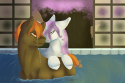 Size: 900x600 | Tagged: safe, artist:tess-a-doodle, button mash, sweetie belle, pony, bath, bathing, female, male, older, shipping, straight, sweetiemash, wet mane