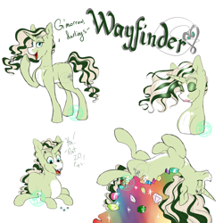 Size: 4000x4000 | Tagged: safe, artist:farewelldecency, idw, oc, oc only, oc:wayfinder, braces, makeup, nerd, next generation, offspring, parent:gaffer, parent:rarity, parents:gaffity, reference sheet, solo