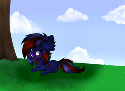 Size: 3262x2369 | Tagged: safe, artist:pinkcloudhugger, derpibooru import, oc, oc only, pony