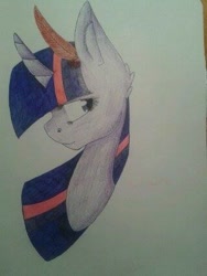 Size: 320x426 | Tagged: safe, artist:pinkcloudhugger, twilight sparkle, pony, bust, feather, portrait, solo, traditional art