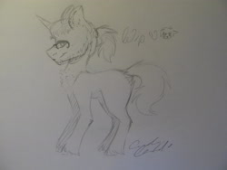 Size: 4000x3000 | Tagged: safe, artist:pinkcloudhugger, oc, oc only, oc:mckeypl, pony, traditional art, wip