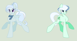 Size: 1600x863 | Tagged: safe, artist:pegasisterthebrony, oc, oc only, oc:mint haze, oc:snowy breeze, earth pony, pegasus, pony, female, male, mare, simple background, stallion