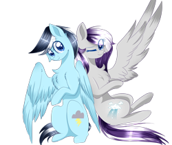 Size: 1024x860 | Tagged: safe, artist:little-sketches, oc, oc only, pegasus, pony, colored pupils, commission, cute, duo, eye clipping through hair, female, looking at you, male, mare, one eye closed, simple background, sitting, smiling, stallion, transparent background, wink