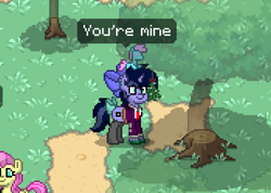 Size: 698x496 | Tagged: safe, screencap, oc, oc only, oc:purple flix, pony, accessories, clothes, fancy, male, mistletoe, plushie, pony town, socks, solo, that face, tree