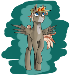 Size: 1280x1280 | Tagged: safe, artist:1101001, oc, oc only, oc:ciel l'etranger, pegasus, pony, cap, colt, hat, male, simple background, solo, wings