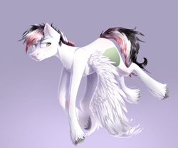 Size: 3000x2500 | Tagged: safe, artist:wacky-skiff, oc, oc only, pegasus, pony, colored pupils, ear fluff, flying, gradient background, male, purple background, solo, stallion, unshorn fetlocks, wing fluff