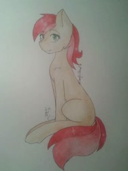 Size: 480x640 | Tagged: safe, artist:pinkcloudhugger, roseluck, earth pony, pony, solo, traditional art