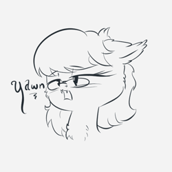 Size: 600x600 | Tagged: safe, artist:malwinters, oc, oc only, oc:wind chime, bat pony, pony, bust, female, glasses, lineart, mare, monochrome, portrait, solo, yawn