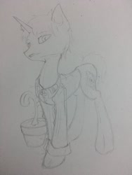 Size: 1024x1365 | Tagged: safe, artist:adetuddymax, oc, oc only, oc:nahuelin, pony, unicorn, clothes, draft, male, request, requested art, solo, traditional art, uniform