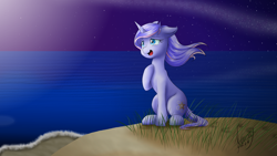 Size: 1920x1080 | Tagged: safe, artist:xxxamychanxxx, oc, oc only, oc:silver swirls, pony, cliff, night, ocean, open mouth, raised hoof, scenery, solo, stars