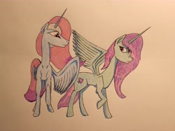 Size: 4392x3280 | Tagged: safe, artist:bumskuchen, oc, oc only, alicorn, pony, absurd resolution, request, traditional art