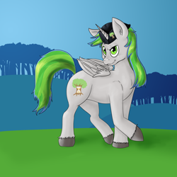 Size: 2500x2500 | Tagged: safe, artist:lookabombaboo, oc, oc only, oc:tree time, alicorn, pony, alicorn oc, hat, simple background, solo