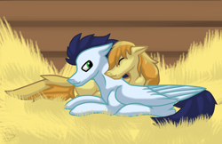 Size: 5544x3592 | Tagged: safe, artist:funny-arts, braeburn, soarin', earth pony, pegasus, pony, absurd resolution, barn, crack shipping, cuddling, eyes closed, gay, hay, male, missing accessory, missing cutie mark, nuzzling, shipping, soarburn, stallion