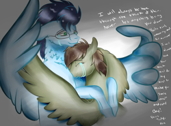 Size: 2585x1916 | Tagged: safe, artist:neonaarts, soarin', oc, oc:penumbra glow, pony, crying, hug, text