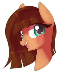 Size: 3596x4264 | Tagged: safe, artist:sorasku, oc, oc only, earth pony, pony, absurd resolution, bust, female, mare, portrait, simple background, solo, transparent background