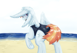 Size: 1019x693 | Tagged: safe, artist:testostepone, windy whistles, pony, beach, clothes, painting, swimsuit