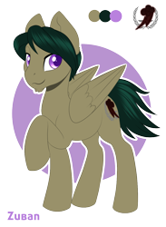 Size: 950x1298 | Tagged: safe, artist:peridotkitty, oc, oc only, oc:zuban, pegasus, pony, fallout equestria, dashite, simple background, solo, transparent background