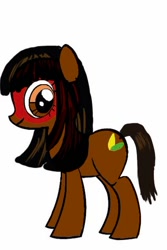 Size: 394x591 | Tagged: artist needed, safe, oc, oc only, oc:kuruminha, earth pony, pony, pony creator, bangs, brazil, brchan, face paint, indigenous brazilian, looking at you, mascot, ponified, simple background, solo