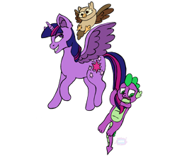 Size: 4000x3536 | Tagged: safe, artist:moddie, owlowiscious, spike, twilight sparkle, twilight sparkle (alicorn), alicorn, dragon, owl, pony, female, flying, male, mare, pet, pets, simple background, transparent background