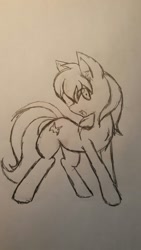 Size: 675x1200 | Tagged: safe, artist:larrykitty, oc, oc only, oc:mind sight, earth pony, pony, cutie mark, happy, male, sketch, smiling, solo, stallion