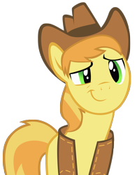 Size: 1775x2269 | Tagged: safe, artist:heart-of-stitches, braeburn, earth pony, pony, male, simple background, solo, stallion, transparent background, vector