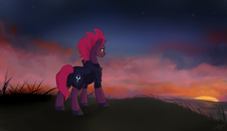 Size: 1024x595 | Tagged: safe, artist:rutkotka, fizzlepop berrytwist, tempest shadow, pony, unicorn, my little pony: the movie, armor, broken horn, eye scar, female, grass field, hill, mare, rear view, scar, solo, sunset