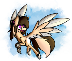 Size: 1946x1662 | Tagged: safe, artist:nekro-led, oc, oc only, oc:buttercream scotch, hippogriff, claws, ear piercing, earring, jewelry, piercing