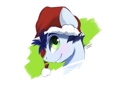 Size: 1518x1037 | Tagged: safe, artist:tangomangoes, soarin', pony, bust, hat, portrait, santa hat, solo