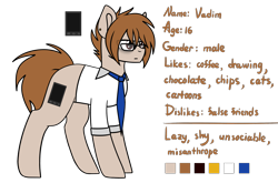 Size: 2181x1440 | Tagged: safe, artist:despotshy, oc, oc only, oc:vadim, earth pony, pony, brown eyes, brown mane, clothes, glasses, male, ponysona, reference sheet, solo, stallion