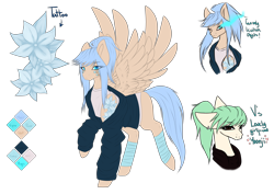 Size: 4360x3080 | Tagged: safe, artist:minelvi, oc, oc only, oc:v, oc:yoonji, pegasus, pony, absurd resolution, clothes, female, high res, jacket, mare, reference sheet, shirt, spread wings, wings