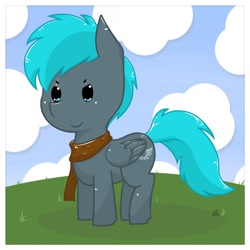 Size: 1574x1574 | Tagged: safe, artist:rockarboom, oc, oc only, oc:alternate, pegasus, pony