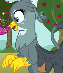 Size: 625x719 | Tagged: safe, screencap, gabby, griffon, pony, the fault in our cutie marks, cropped