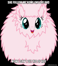 Size: 800x896 | Tagged: safe, oc, oc only, oc:fluffle puff, pony, black background, grammar error, image macro, meme, simple background, solo