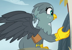 Size: 657x455 | Tagged: safe, screencap, gabby, griffon, pony, the fault in our cutie marks, cropped, plot, rear view, solo