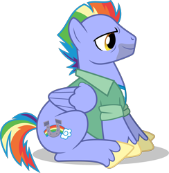 Size: 4877x5000 | Tagged: safe, artist:dashiesparkle, bow hothoof, pegasus, pony, parental glideance, .svg available, absurd resolution, clothes, male, simple background, sitting, solo, stallion, transparent background, vector