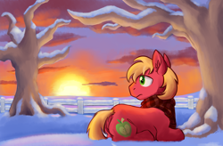 Size: 4000x2623 | Tagged: safe, artist:invertigo, big macintosh, earth pony, pony, clothes, male, scarf, solo, stallion, sunset, winter