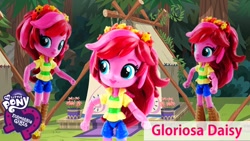 Size: 1500x845 | Tagged: safe, gloriosa daisy, equestria girls, custom, doll, equestria girls minis, irl, photo, toy