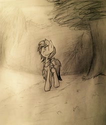 Size: 2284x2699 | Tagged: safe, artist:toothpastethy, oc, oc only, oc:boreal jaunt, pony, unicorn, clothes, eyes closed, female, mare, monochrome, saddle bag, scarf, sketch, smiling, solo