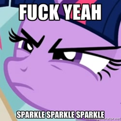 Size: 400x400 | Tagged: safe, edit, edited screencap, screencap, twilight sparkle, image macro, meme, nostalgia critic, solo, vulgar