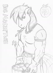 Size: 1029x1424 | Tagged: safe, artist:baikobits, artist:cskairi, big macintosh, anthro, male, monochrome, solo, traditional art