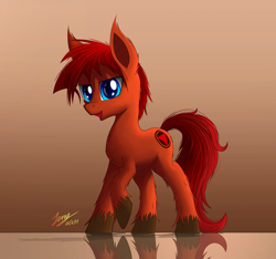 Size: 2000x1875 | Tagged: safe, artist:duskie-06, oc, oc only, oc:stern, earth pony, pony, gradient background, male, reflection, solo, stallion