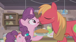 Size: 1236x694 | Tagged: safe, screencap, big macintosh, sugar belle, earth pony, pony, hard to say anything, female, male, mare, shipping, stallion, straight, sugarmac