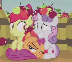 Size: 346x297 | Tagged: safe, screencap, apple bloom, scootaloo, sweetie belle, pony, hard to say anything, apple, barrel, cute, cutie mark crusaders, food